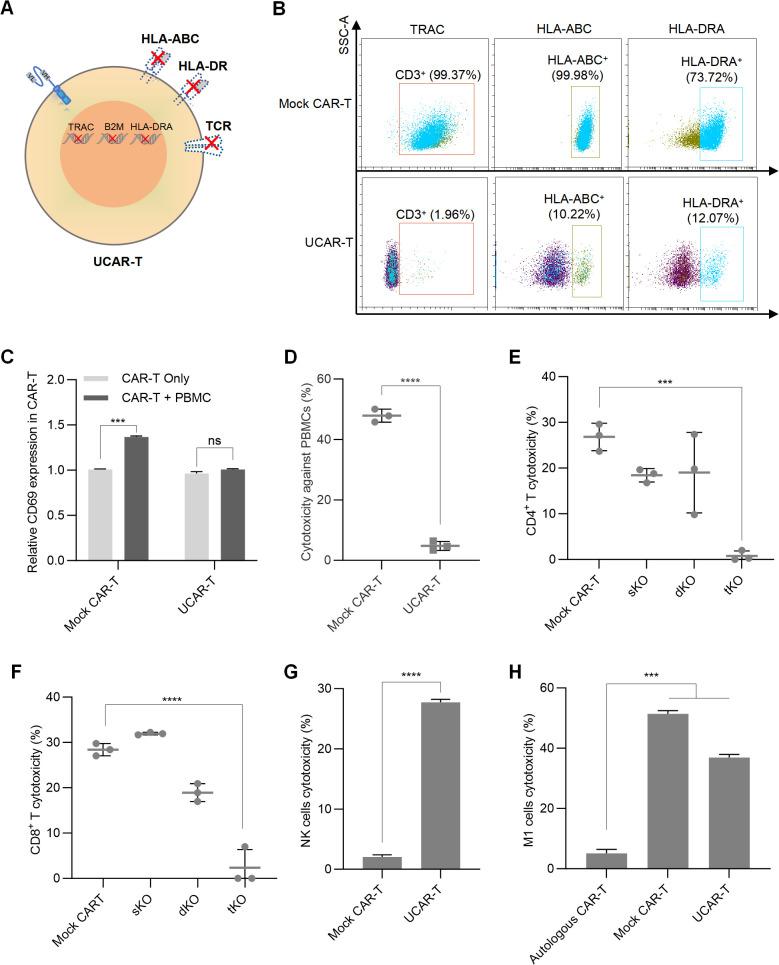 https://cdn.ncbi.nlm.nih.gov/pmc/blobs/dbaf/11792090/d4fb3cae8a14/fimmu-15-1531294-g002.jpg