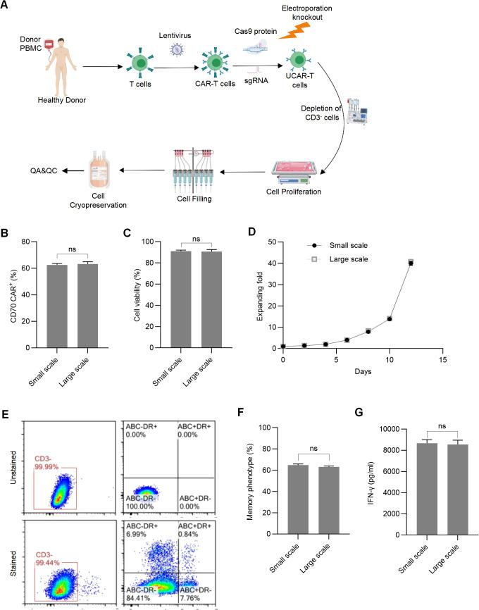 https://cdn.ncbi.nlm.nih.gov/pmc/blobs/dbaf/11792090/e10eefa6d72b/fimmu-15-1531294-g008.jpg