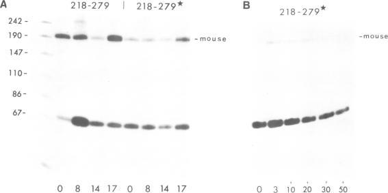 https://cdn.ncbi.nlm.nih.gov/pmc/blobs/dbb1/553561/2453908b6ddd/emboj00246-0289-b.jpg
