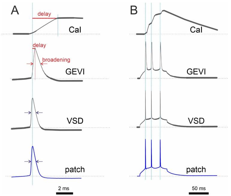 https://cdn.ncbi.nlm.nih.gov/pmc/blobs/dbb2/10296598/0fc7b1045e7a/biosensors-13-00648-g002.jpg