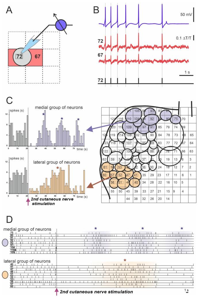 https://cdn.ncbi.nlm.nih.gov/pmc/blobs/dbb2/10296598/f8d49280ccf6/biosensors-13-00648-g003.jpg