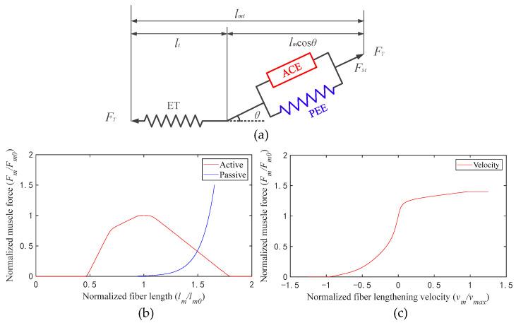 https://cdn.ncbi.nlm.nih.gov/pmc/blobs/dbb2/10385903/dbac4dbae04d/sensors-23-06607-g002.jpg