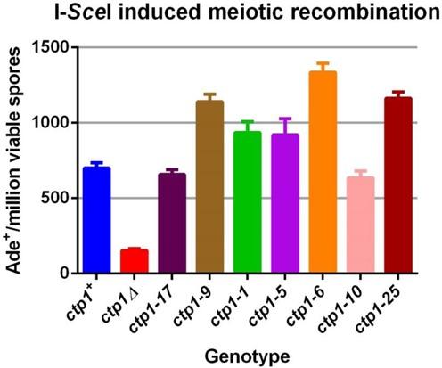 https://cdn.ncbi.nlm.nih.gov/pmc/blobs/dbb3/4551917/39c639a66cf0/gkv644fig3.jpg