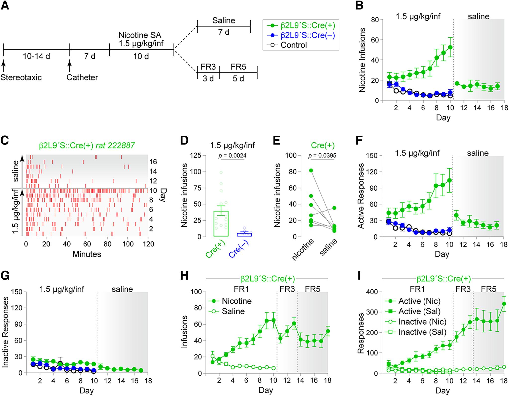 https://cdn.ncbi.nlm.nih.gov/pmc/blobs/dbb8/10216253/5f495e3fb2dd/ENEURO.0449-22.2023_f002.jpg
