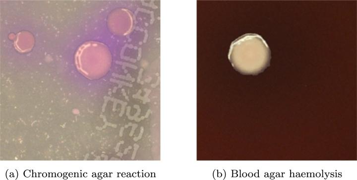 https://cdn.ncbi.nlm.nih.gov/pmc/blobs/dbc1/10873726/3279c58e1846/gr009.jpg