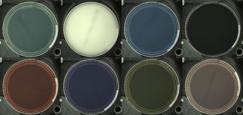 https://cdn.ncbi.nlm.nih.gov/pmc/blobs/dbc1/10873726/770dfd3b5011/gr006.jpg