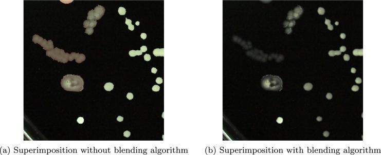 https://cdn.ncbi.nlm.nih.gov/pmc/blobs/dbc1/10873726/d9fe08e0ff1d/gr008.jpg