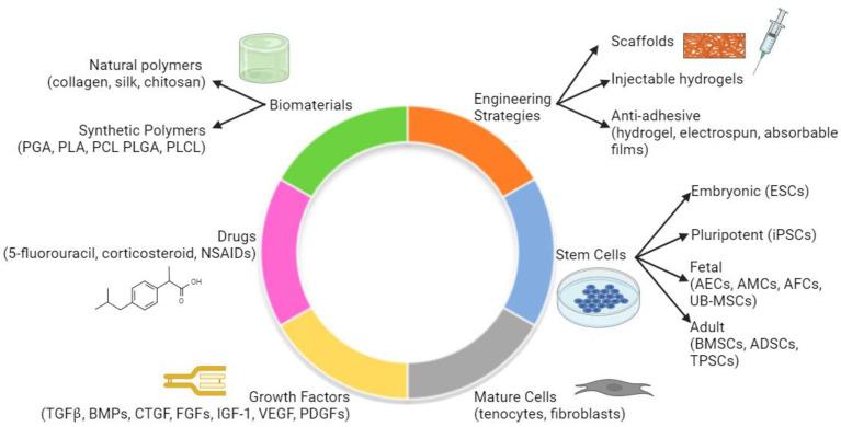 https://cdn.ncbi.nlm.nih.gov/pmc/blobs/dbc1/11048404/f05c4852cd7a/biomedicines-12-00859-g003.jpg