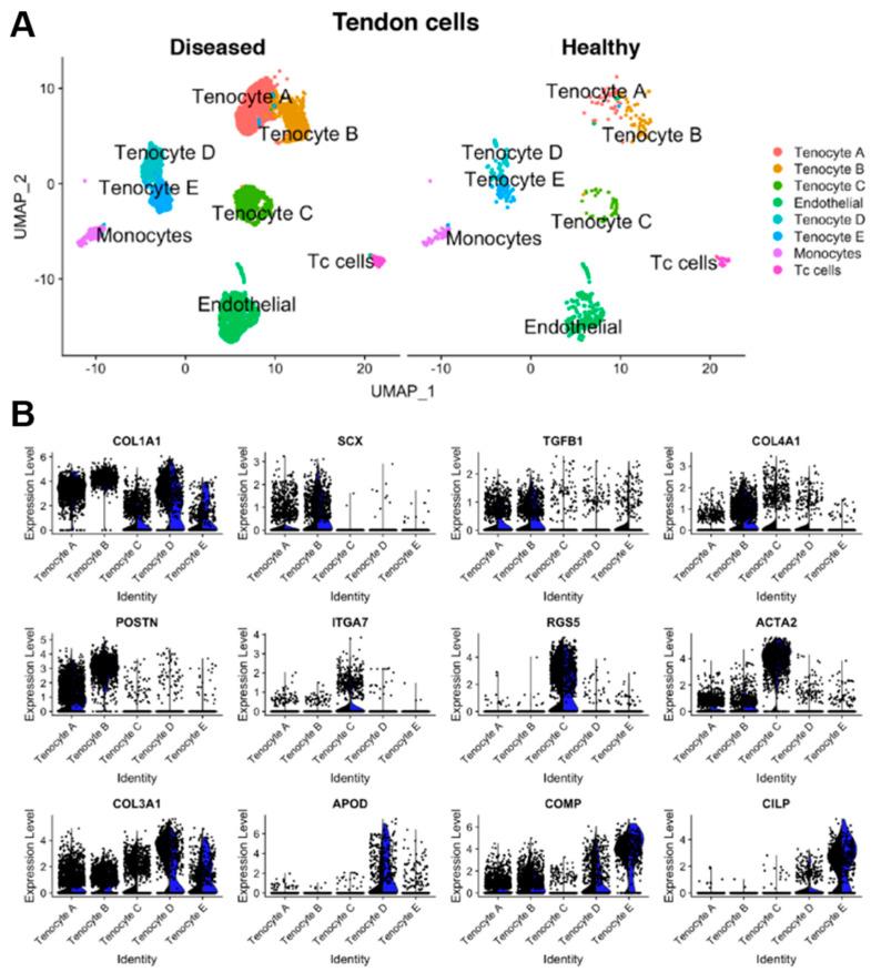 https://cdn.ncbi.nlm.nih.gov/pmc/blobs/dbc1/11048404/f210e1ed266a/biomedicines-12-00859-g002.jpg