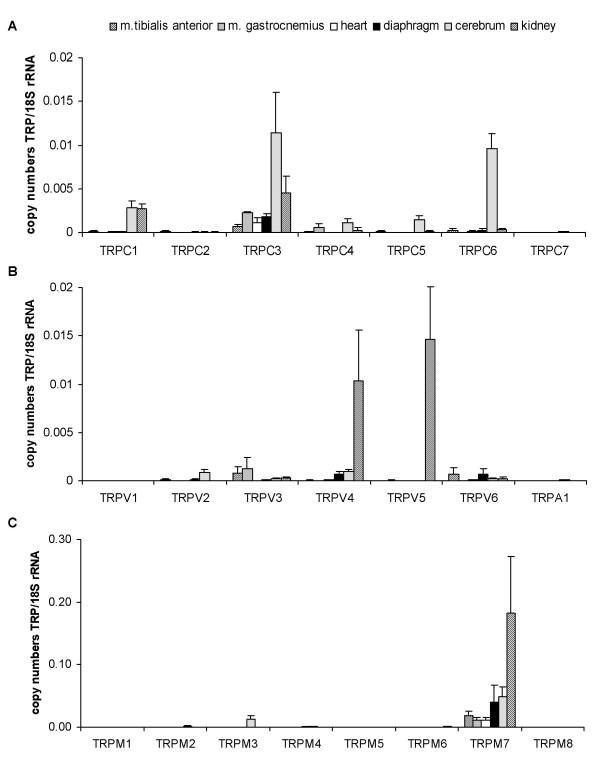 https://cdn.ncbi.nlm.nih.gov/pmc/blobs/dbc1/1557673/9d4dca614b98/1471-2164-7-159-2.jpg