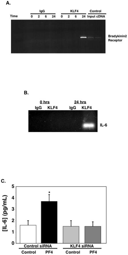 https://cdn.ncbi.nlm.nih.gov/pmc/blobs/dbc1/2862712/57880c4902b3/pone.0010413.g003.jpg