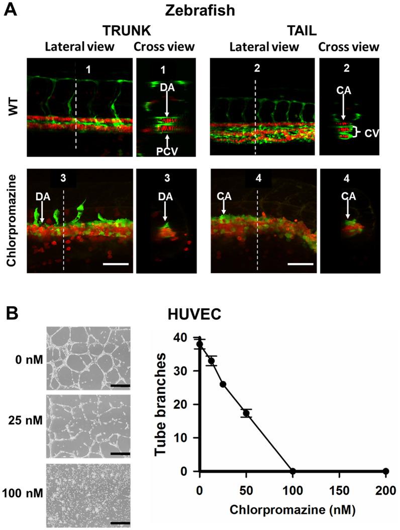 https://cdn.ncbi.nlm.nih.gov/pmc/blobs/dbc1/9969694/ae309bdde491/40659_2023_415_Fig5_HTML.jpg
