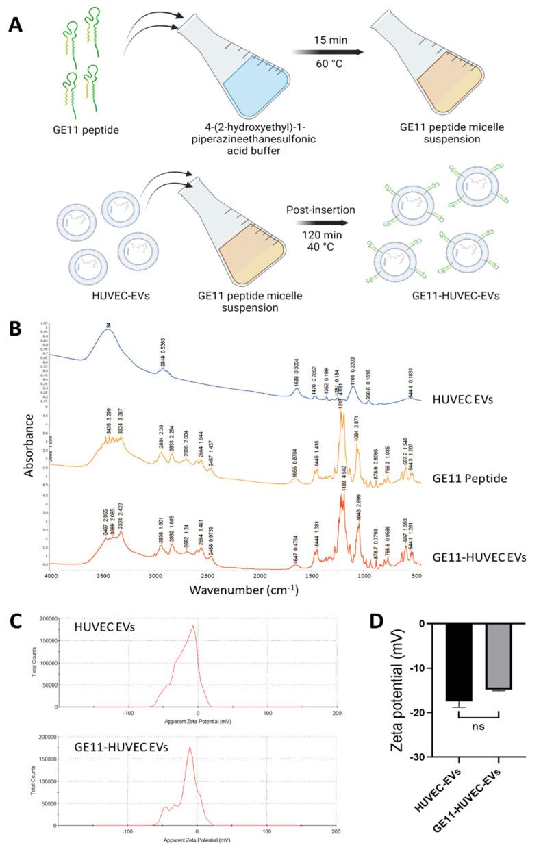 https://cdn.ncbi.nlm.nih.gov/pmc/blobs/dbc3/11510406/c12e5dfec185/nanomaterials-14-01669-g004.jpg
