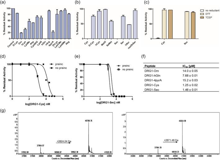 https://cdn.ncbi.nlm.nih.gov/pmc/blobs/dbc4/11400632/71774eaeacfe/PRO-33-e5162-g007.jpg