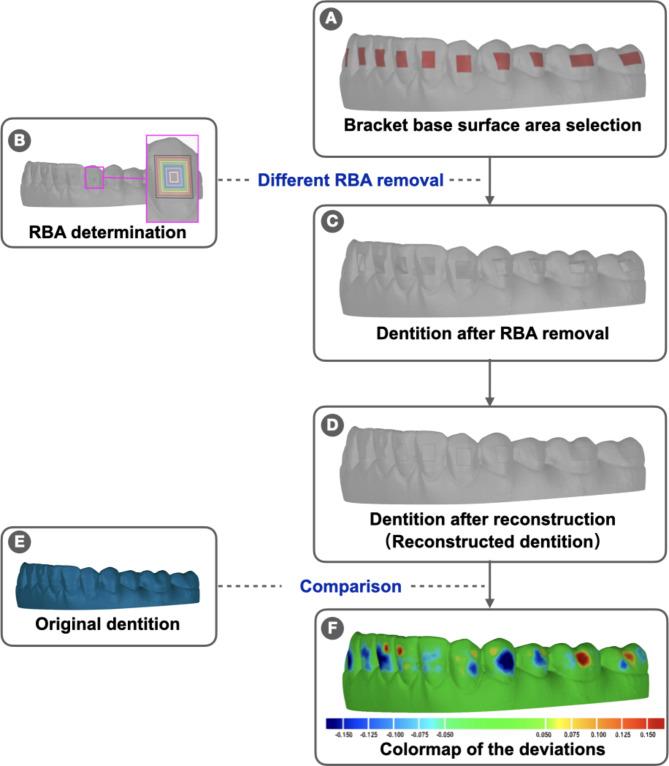 https://cdn.ncbi.nlm.nih.gov/pmc/blobs/dbc5/11566166/16e3847653de/12903_2024_5090_Fig2_HTML.jpg