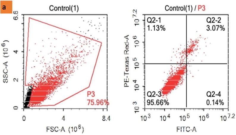 https://cdn.ncbi.nlm.nih.gov/pmc/blobs/dbc5/9845129/fafa4100c4c3/gr23a.jpg
