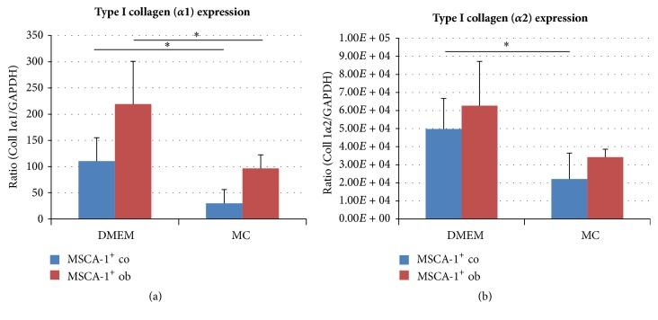 https://cdn.ncbi.nlm.nih.gov/pmc/blobs/dbc9/5292402/1b3bd8540abf/SCI2017-1651376.007.jpg