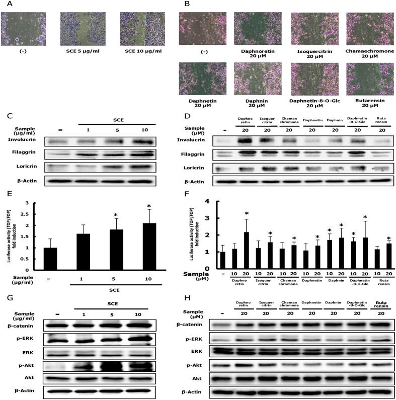 https://cdn.ncbi.nlm.nih.gov/pmc/blobs/dbc9/5318992/2dc8633d8e8e/srep42490-f2.jpg