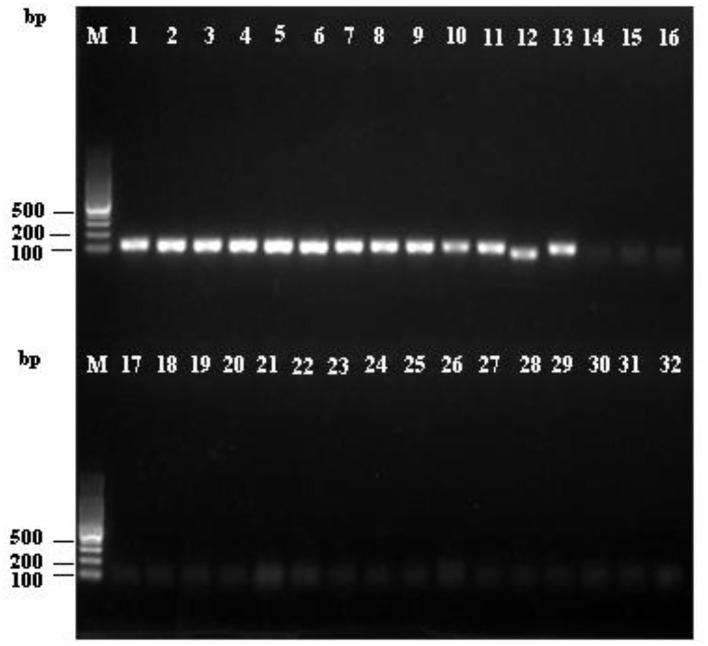 https://cdn.ncbi.nlm.nih.gov/pmc/blobs/dbca/9445624/976311f0d9a4/fmicb-13-918651-g0005.jpg