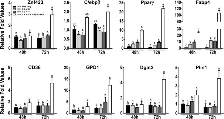 https://cdn.ncbi.nlm.nih.gov/pmc/blobs/dbcb/8010516/ccd7219be538/gr2.jpg
