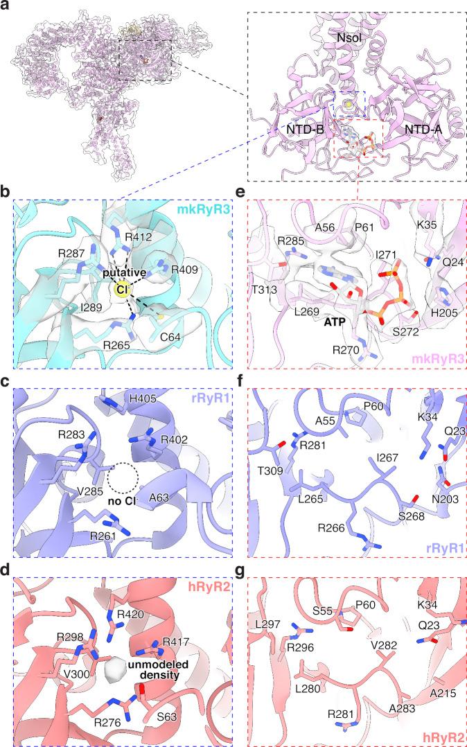 https://cdn.ncbi.nlm.nih.gov/pmc/blobs/dbcc/11452665/53c4d4d5b1da/41467_2024_52998_Fig6_HTML.jpg