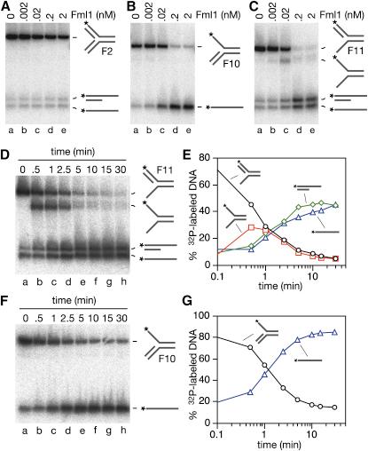 https://cdn.ncbi.nlm.nih.gov/pmc/blobs/dbcf/2581491/4df05bcaed58/gr6.jpg