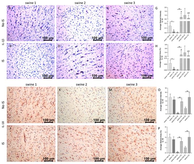 https://cdn.ncbi.nlm.nih.gov/pmc/blobs/dbd0/10883333/0976520fdded/nihms-1964087-f0008.jpg