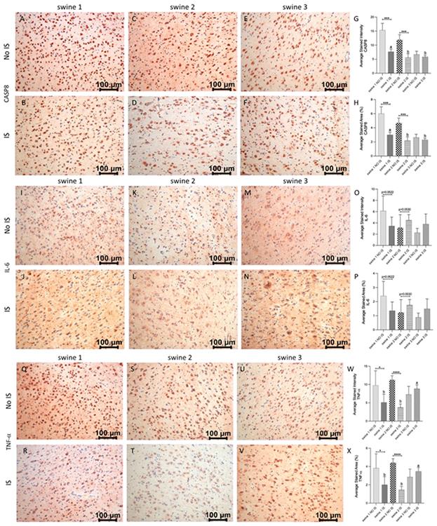 https://cdn.ncbi.nlm.nih.gov/pmc/blobs/dbd0/10883333/23fdb9c5202c/nihms-1964087-f0009.jpg