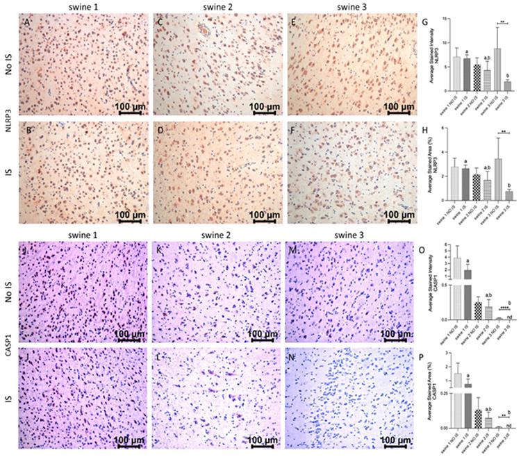 https://cdn.ncbi.nlm.nih.gov/pmc/blobs/dbd0/10883333/e966d8613439/nihms-1964087-f0007.jpg