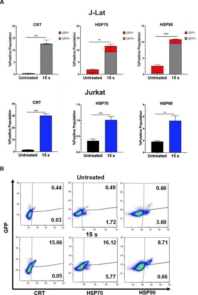 https://cdn.ncbi.nlm.nih.gov/pmc/blobs/dbd1/7920340/01e29d18e4ba/pone.0247125.g004.jpg