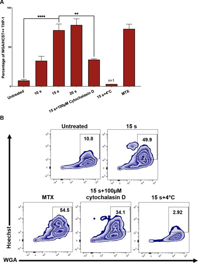 https://cdn.ncbi.nlm.nih.gov/pmc/blobs/dbd1/7920340/974088e4710f/pone.0247125.g005.jpg