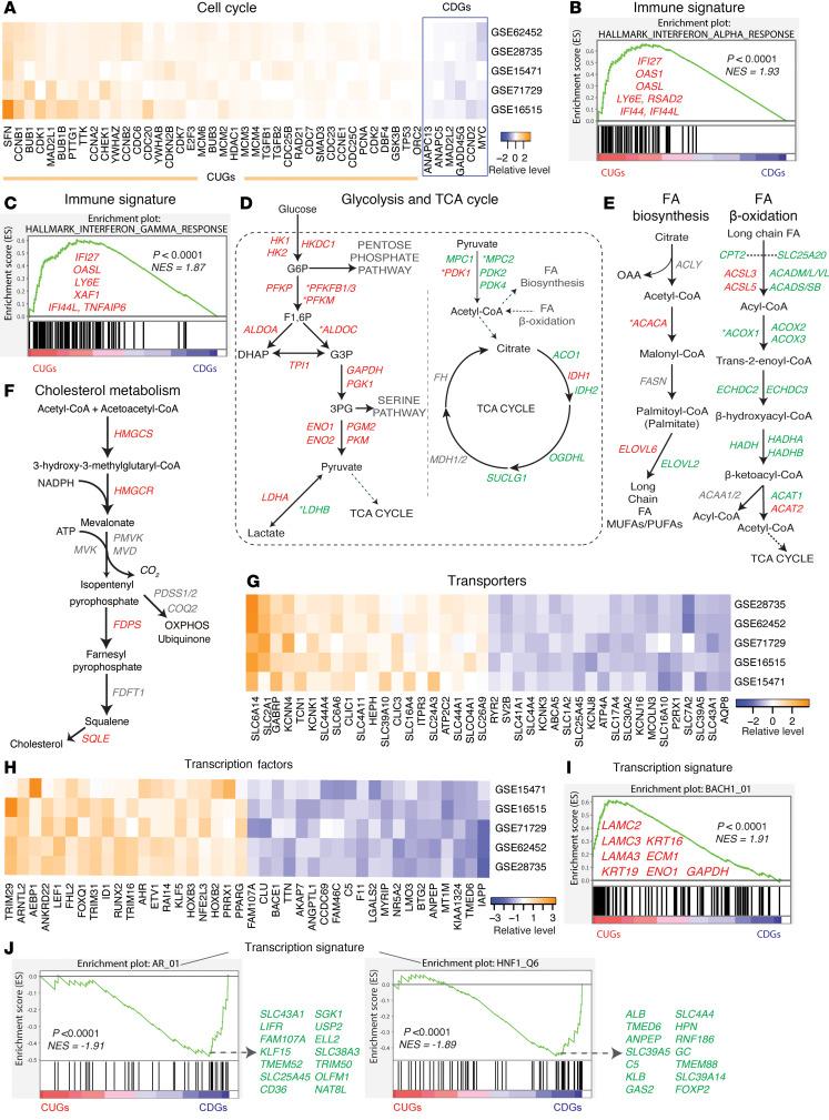 https://cdn.ncbi.nlm.nih.gov/pmc/blobs/dbd2/11949049/17829626feef/jciinsight-10-174264-g241.jpg
