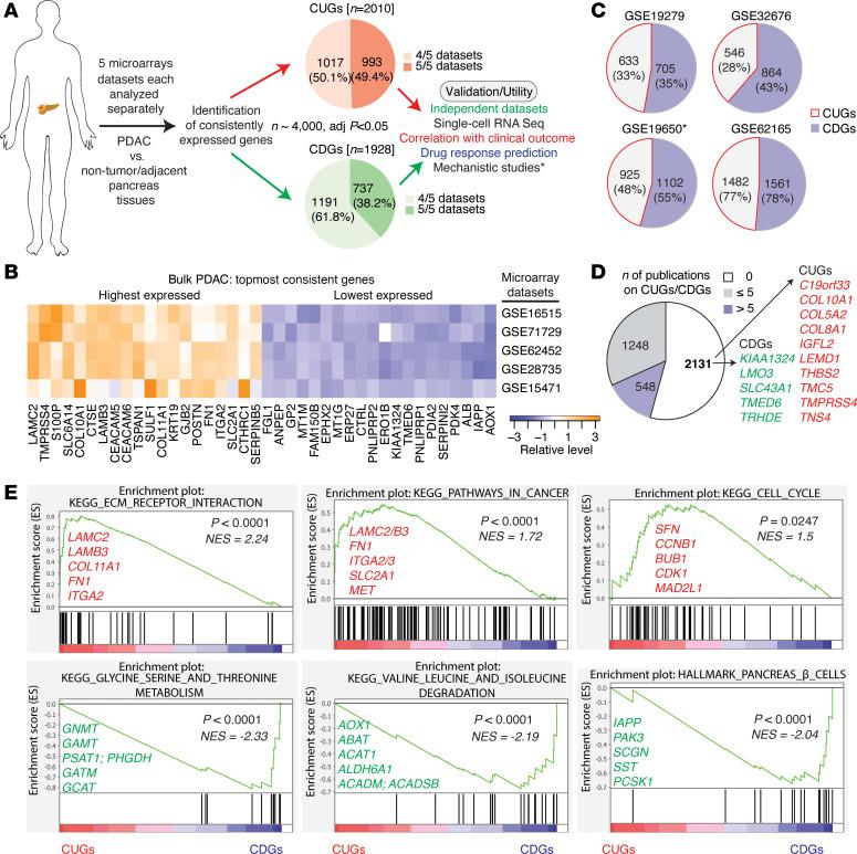 https://cdn.ncbi.nlm.nih.gov/pmc/blobs/dbd2/11949049/c63010b83505/jciinsight-10-174264-g240.jpg