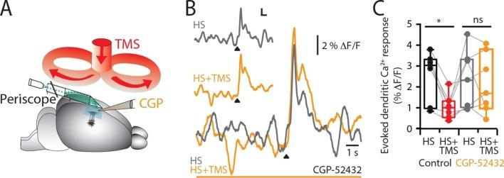 https://cdn.ncbi.nlm.nih.gov/pmc/blobs/dbd3/4811769/4171a20307c2/elife-13598-fig2.jpg
