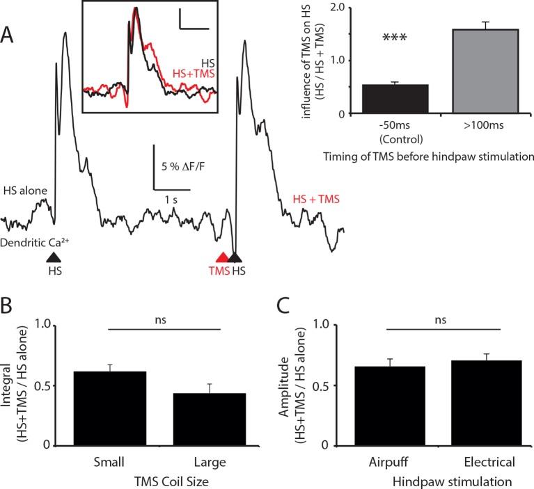 https://cdn.ncbi.nlm.nih.gov/pmc/blobs/dbd3/4811769/b91b33f06409/elife-13598-fig1-figsupp2.jpg