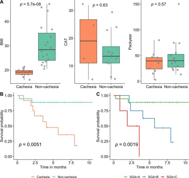 https://cdn.ncbi.nlm.nih.gov/pmc/blobs/dbd3/8528809/2328ab170cfe/41396_2021_998_Fig1_HTML.jpg