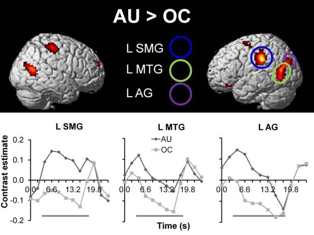 https://cdn.ncbi.nlm.nih.gov/pmc/blobs/dbd4/3874541/cfd01a4a6506/fnhum-07-00905-g0003.jpg