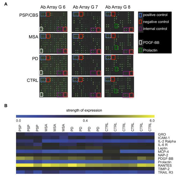https://cdn.ncbi.nlm.nih.gov/pmc/blobs/dbd5/3539904/2fb0e6340219/1477-5956-10-71-1.jpg