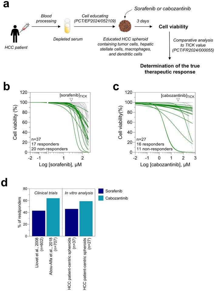 https://cdn.ncbi.nlm.nih.gov/pmc/blobs/dbd7/11706984/45baa3ae70b4/41598_2024_84304_Fig4_HTML.jpg