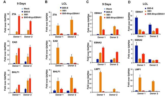 https://cdn.ncbi.nlm.nih.gov/pmc/blobs/dbd7/5352318/ac7a0ee2e449/oncotarget-08-7248-g006.jpg