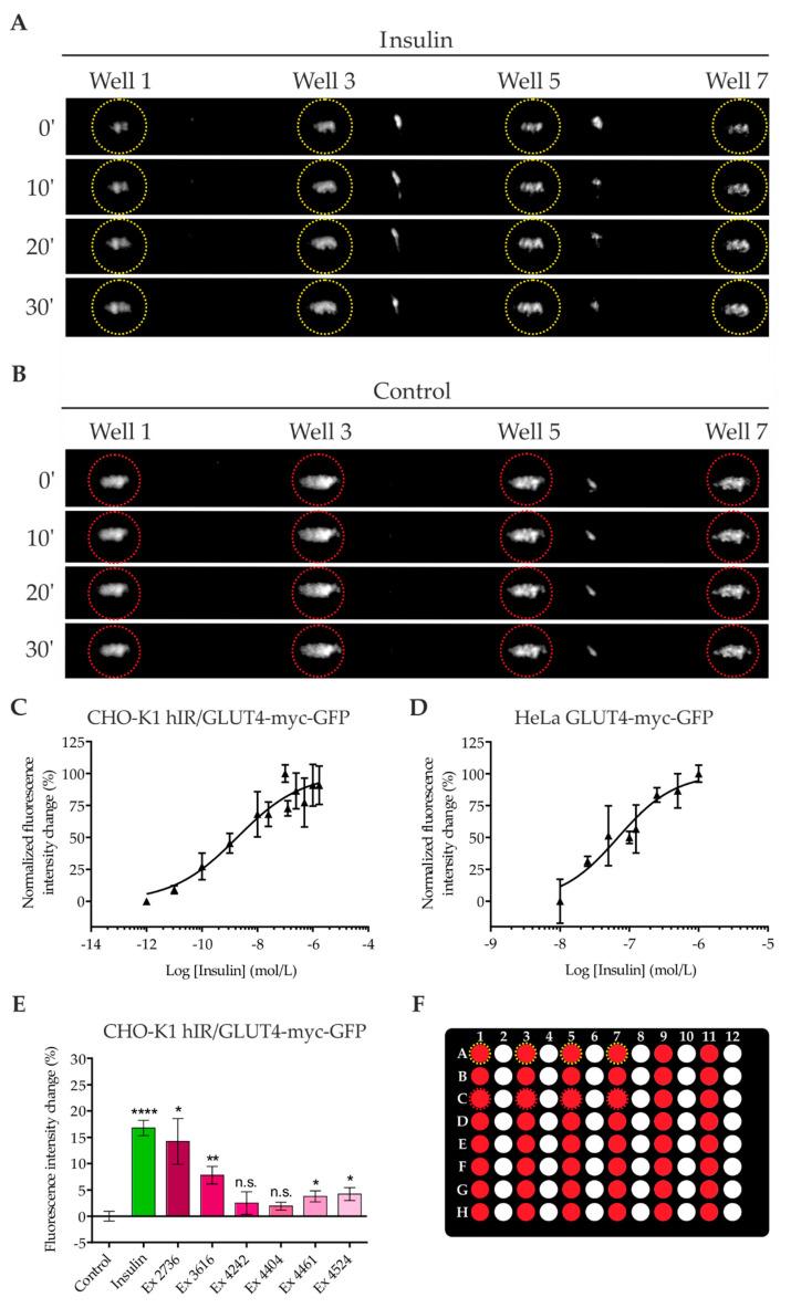 https://cdn.ncbi.nlm.nih.gov/pmc/blobs/dbd9/7662403/1e00f94db132/ijms-21-07964-g002.jpg