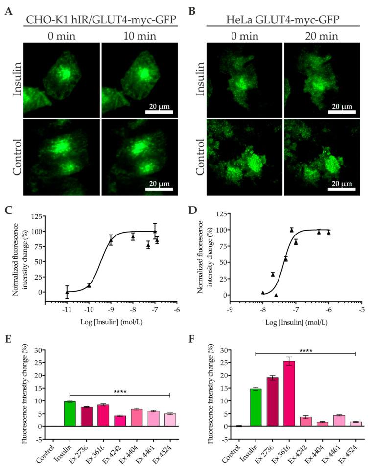 https://cdn.ncbi.nlm.nih.gov/pmc/blobs/dbd9/7662403/c1656908717e/ijms-21-07964-g001.jpg