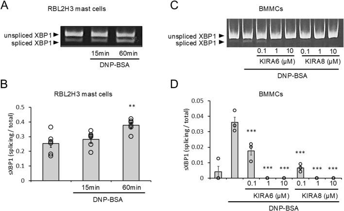 https://cdn.ncbi.nlm.nih.gov/pmc/blobs/dbdb/12331723/25be90674f2c/fphar-16-1625798-g001.jpg