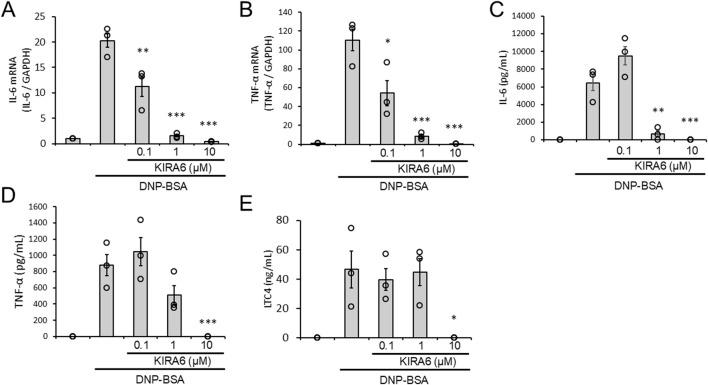 https://cdn.ncbi.nlm.nih.gov/pmc/blobs/dbdb/12331723/4063a4b31754/fphar-16-1625798-g003.jpg