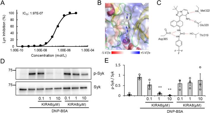 https://cdn.ncbi.nlm.nih.gov/pmc/blobs/dbdb/12331723/cb3a4568e336/fphar-16-1625798-g006.jpg