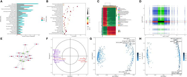 https://cdn.ncbi.nlm.nih.gov/pmc/blobs/dbdd/9722969/8e72a74ad21d/fpls-13-1041733-g006.jpg