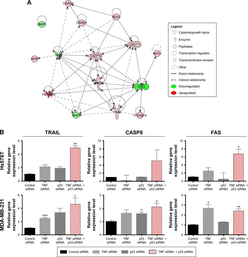 https://cdn.ncbi.nlm.nih.gov/pmc/blobs/dbde/5113913/1a7d844e7e74/ott-9-6921Fig4.jpg
