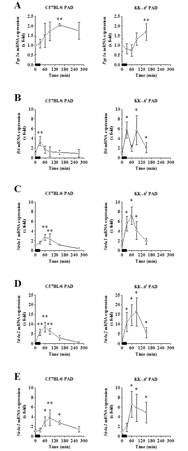 https://cdn.ncbi.nlm.nih.gov/pmc/blobs/dbde/5542511/5a1cf61ee462/pone.0182456.g002.jpg