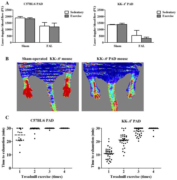 https://cdn.ncbi.nlm.nih.gov/pmc/blobs/dbde/5542511/98030da1809c/pone.0182456.g001.jpg
