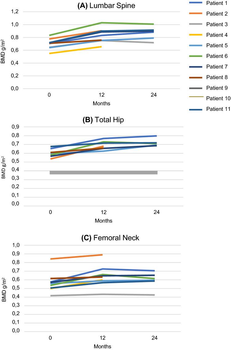https://cdn.ncbi.nlm.nih.gov/pmc/blobs/dbdf/9232424/4c1516e98b83/223_2022_963_Fig2_HTML.jpg